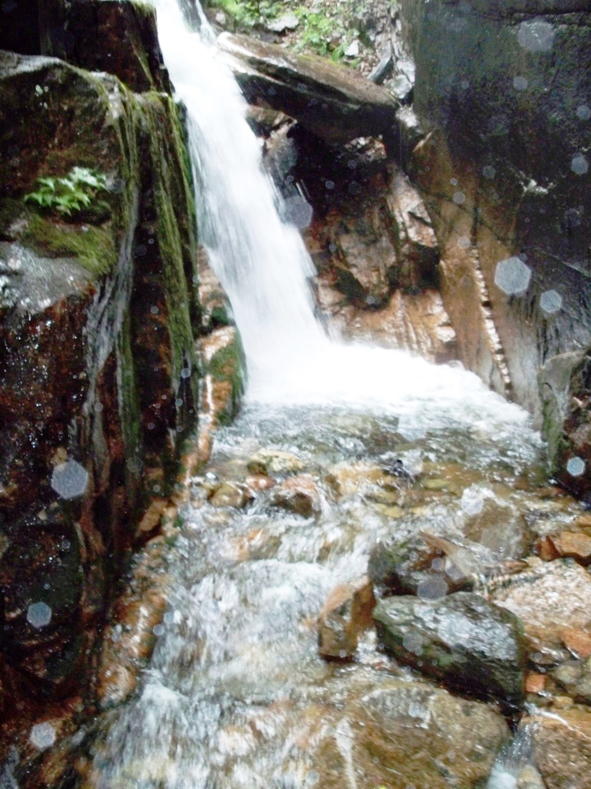 The Flume Gorge in Franconia Notch State Park.